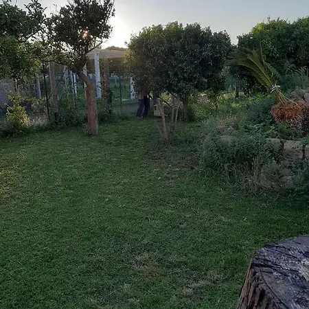 Il Glicine - Casa Apartment Procida