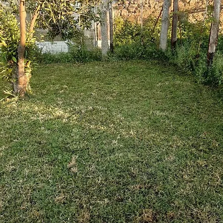 Il Glicine - Casa *